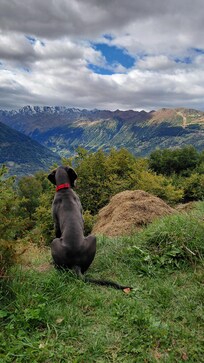 Ausblick vom Haus aus.