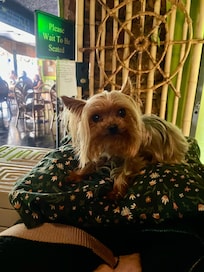 Pet friendly