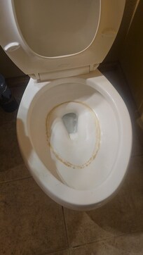 Toilets were not pleasant. They had a ring of grime in the bowl.