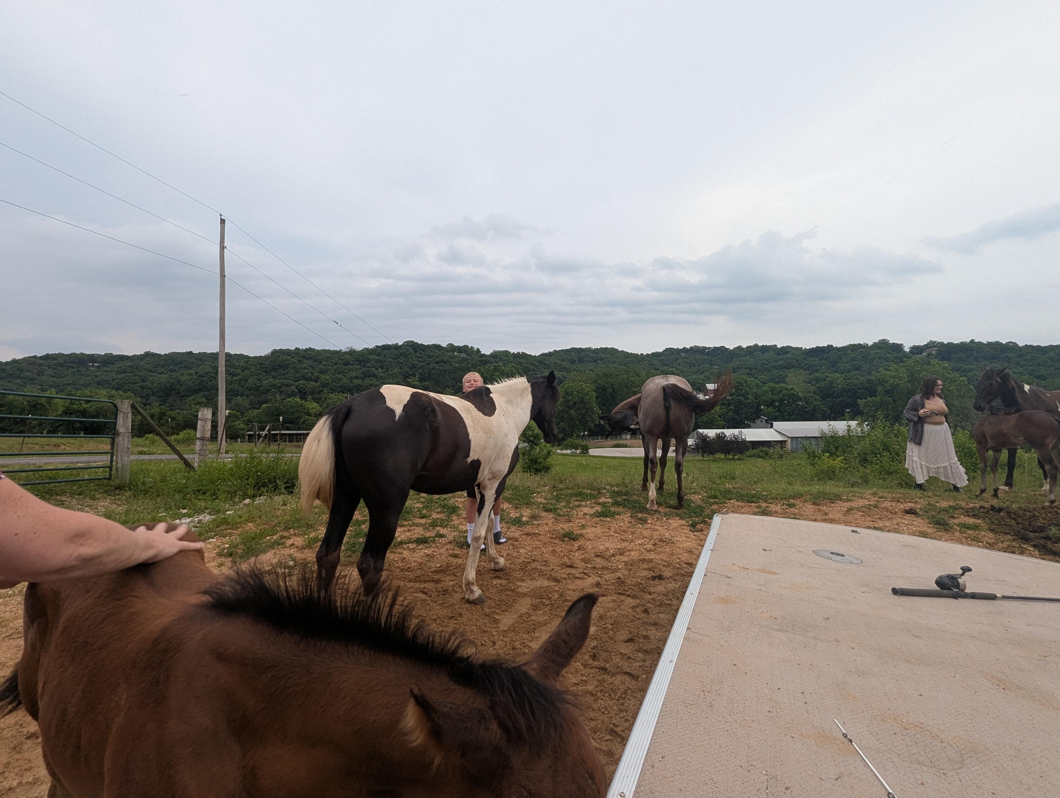 Beautiful horses. Very friendly. We did not get a chance to ride, but rides were about $75/person and they were willing to accommodate our schedule.