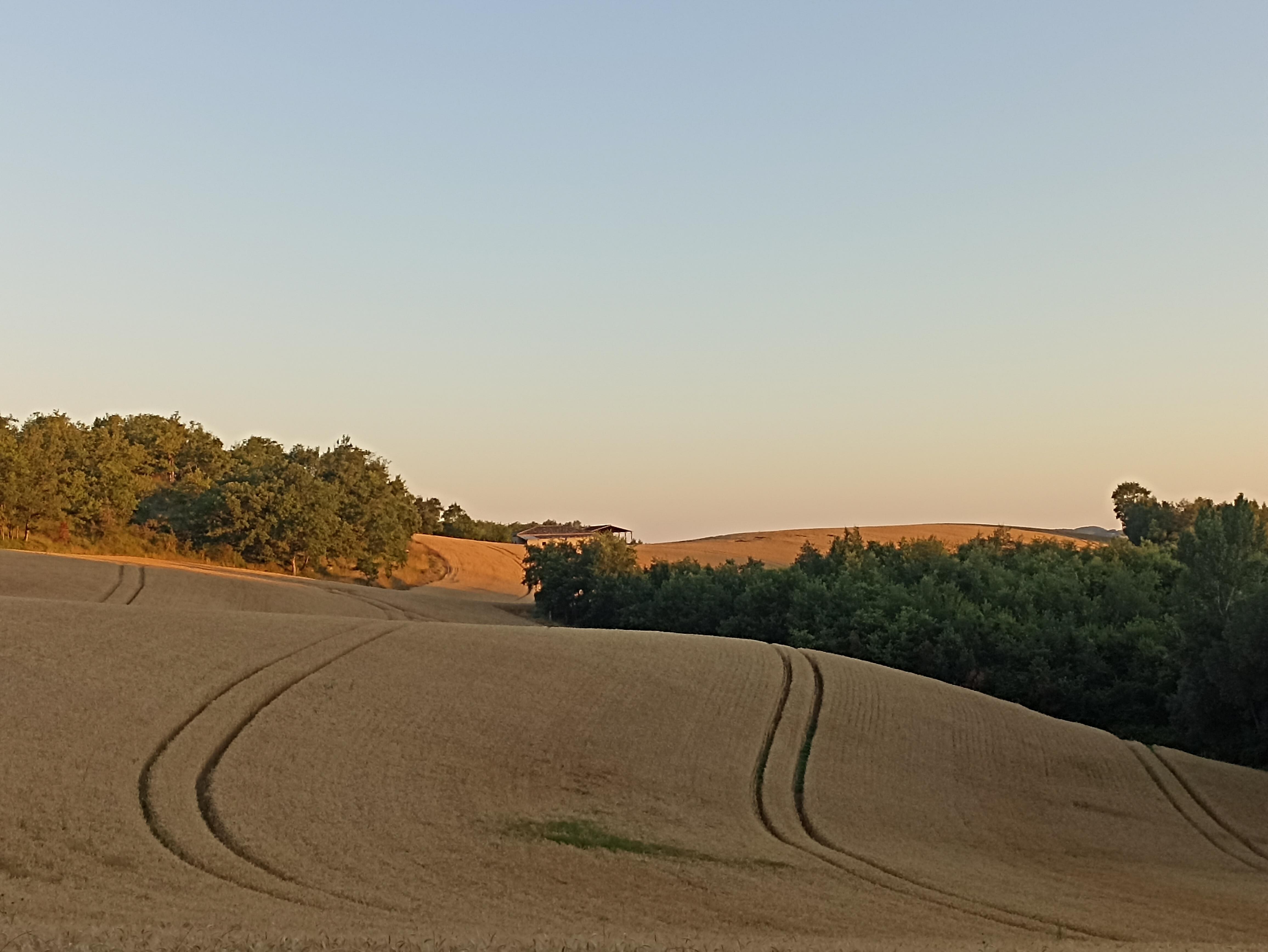 Petit déjeuner avec vue sur la campagne au lever du soleil ☀️