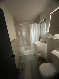 The 1st toilet with shower upstairs