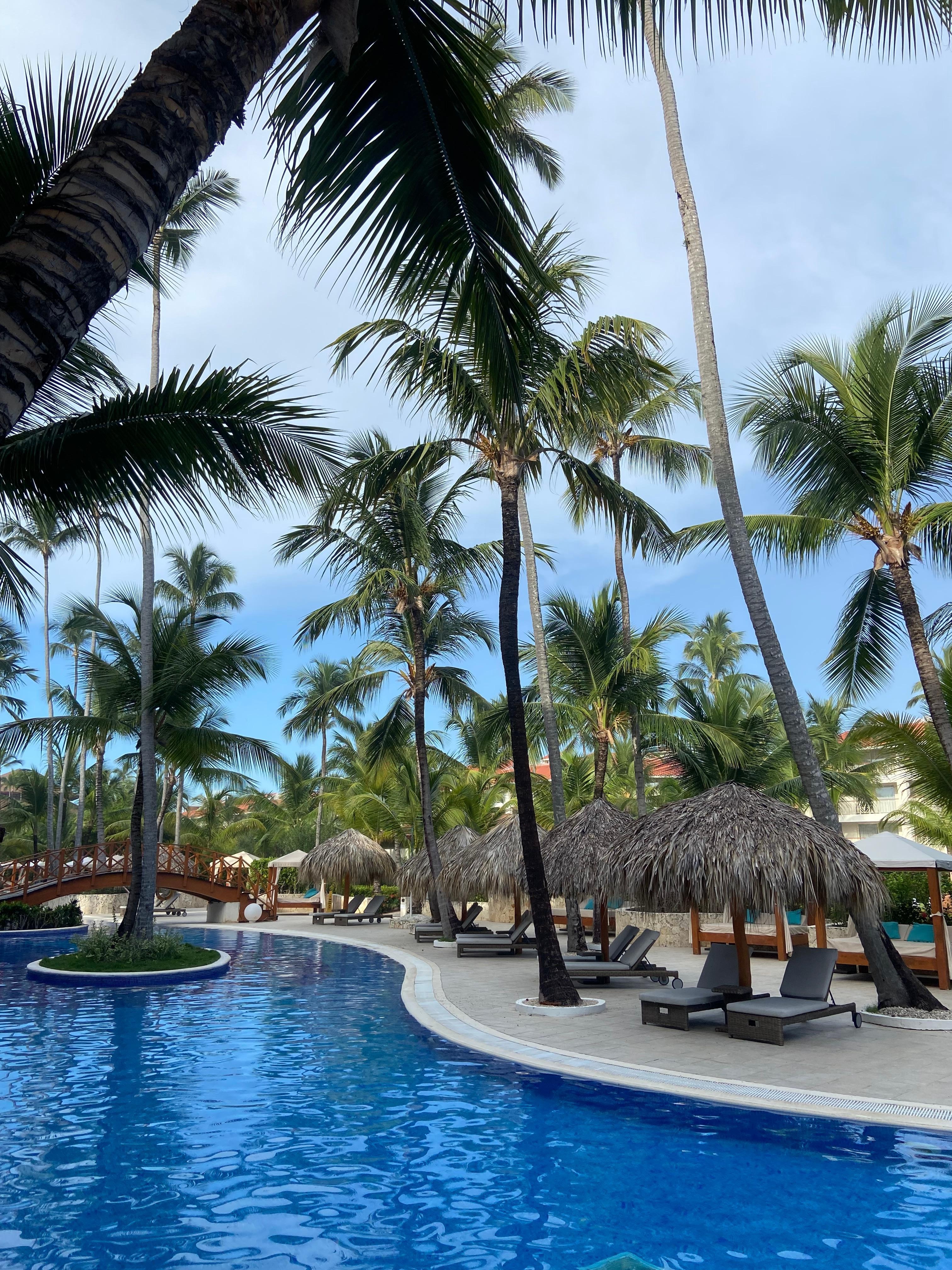 How can you not love this daily view!