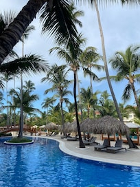 How can you not love this daily view!