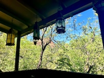 View from deck