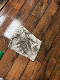 Rag from when we cleaned.