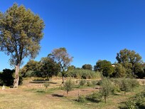 Vue de la terrasse