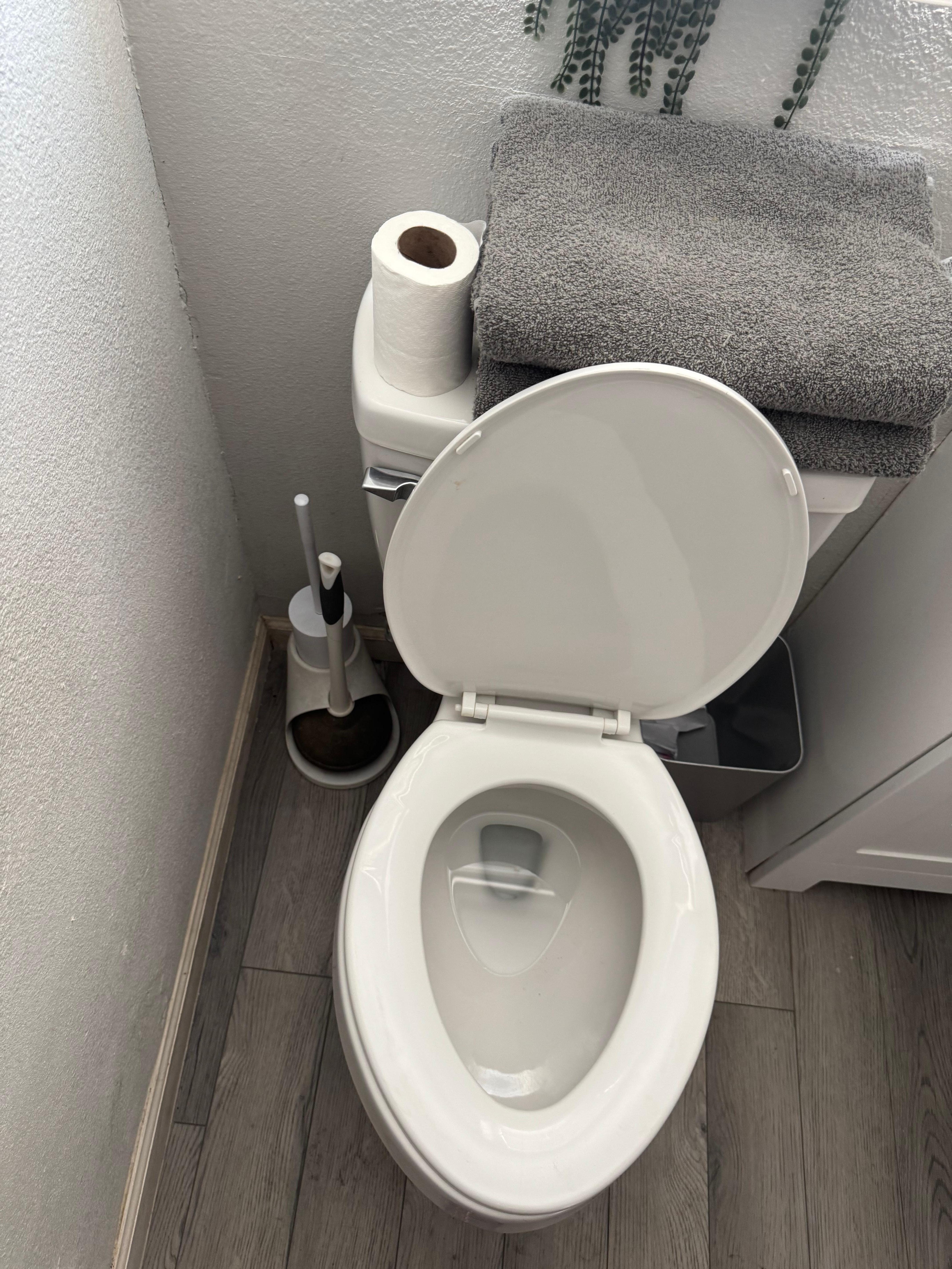 Toilet paper