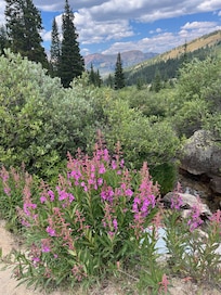 Mayflower Gulch
