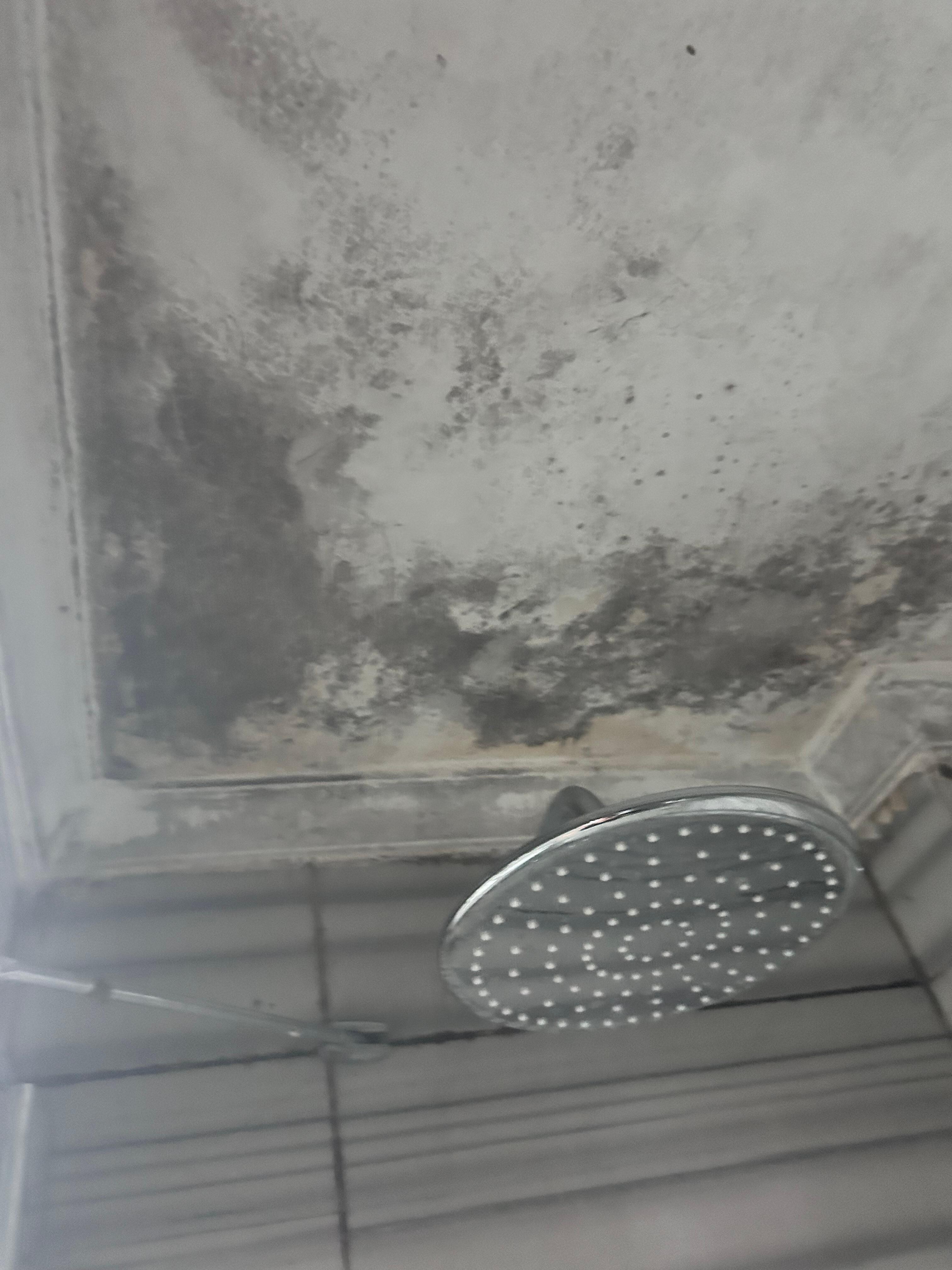 Decke des Badezimmers