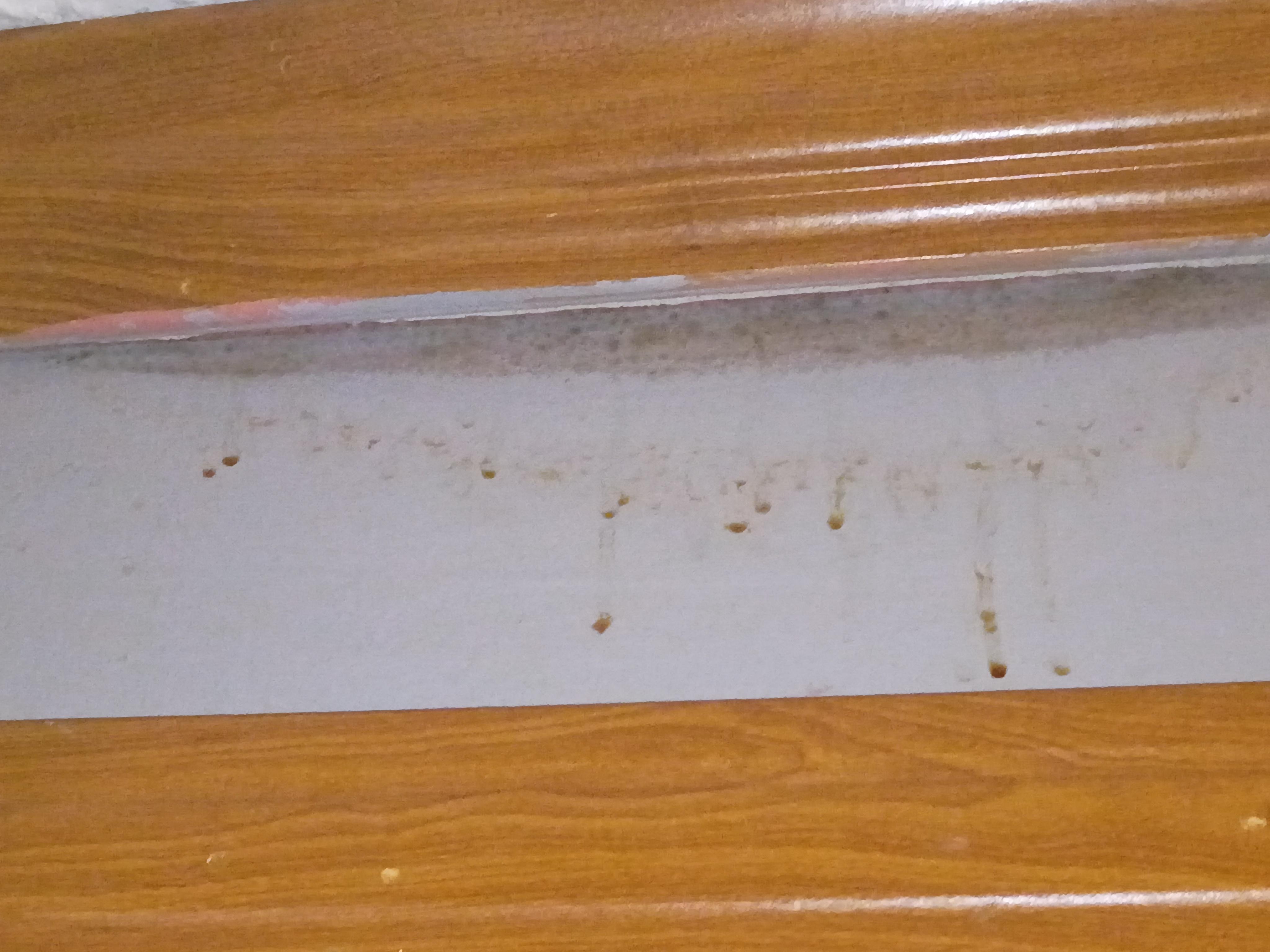 water dripping down the wall