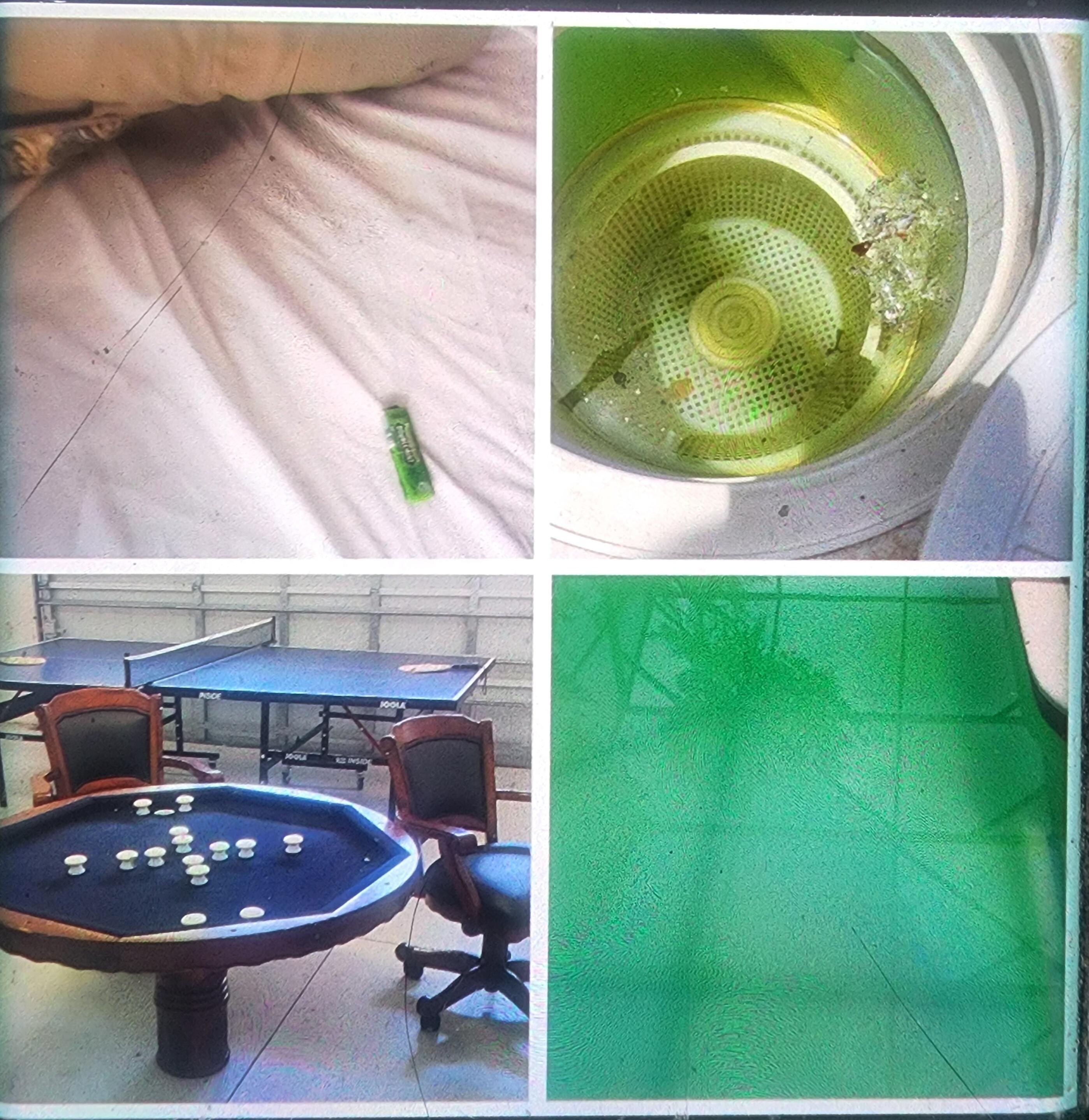 Gum and hair in the bed. Dangerous table with no legs. The green filthy Unusable pool