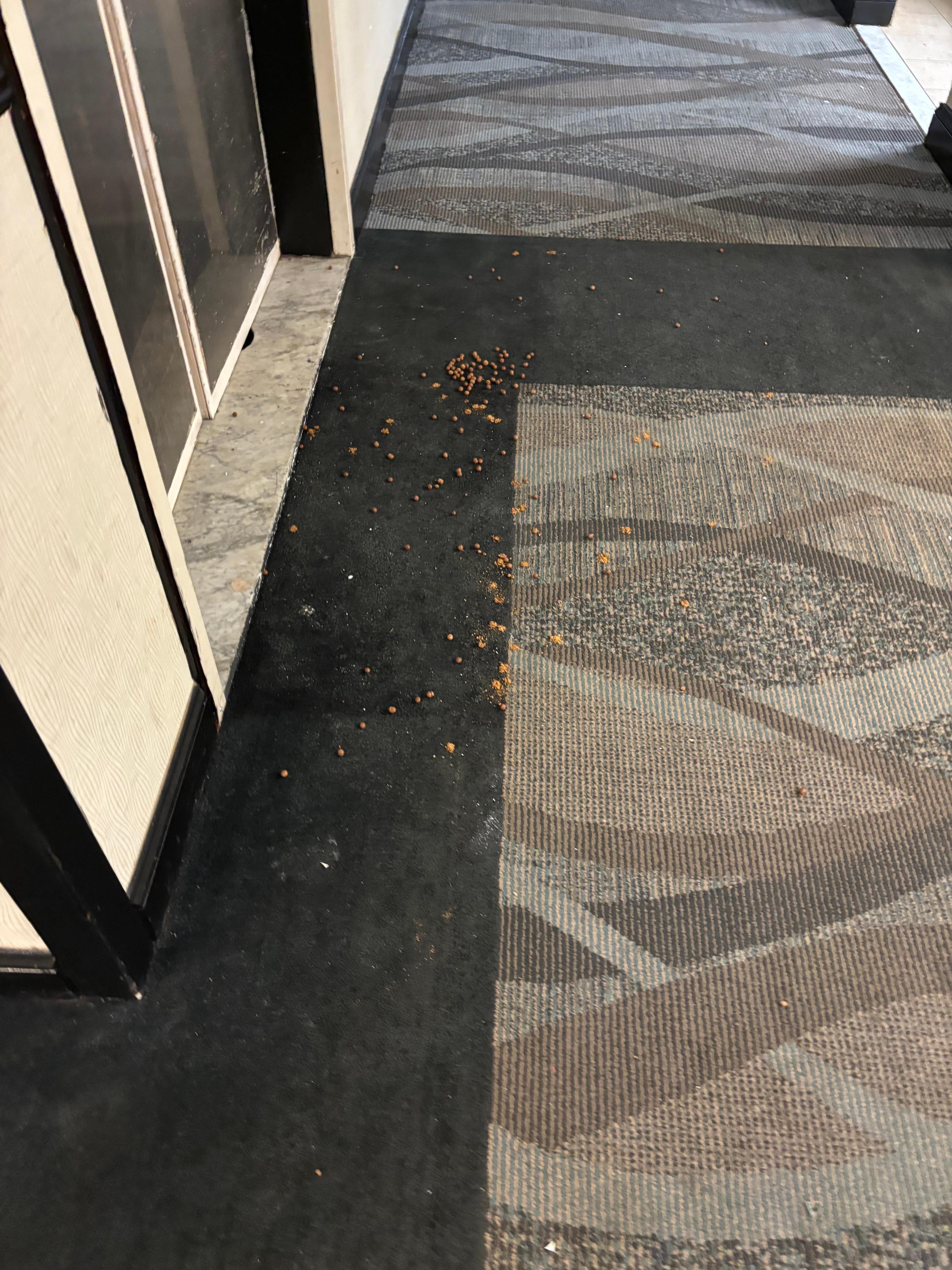 Food always in the hallways wasted.