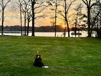 Our border collie enjoyed the view