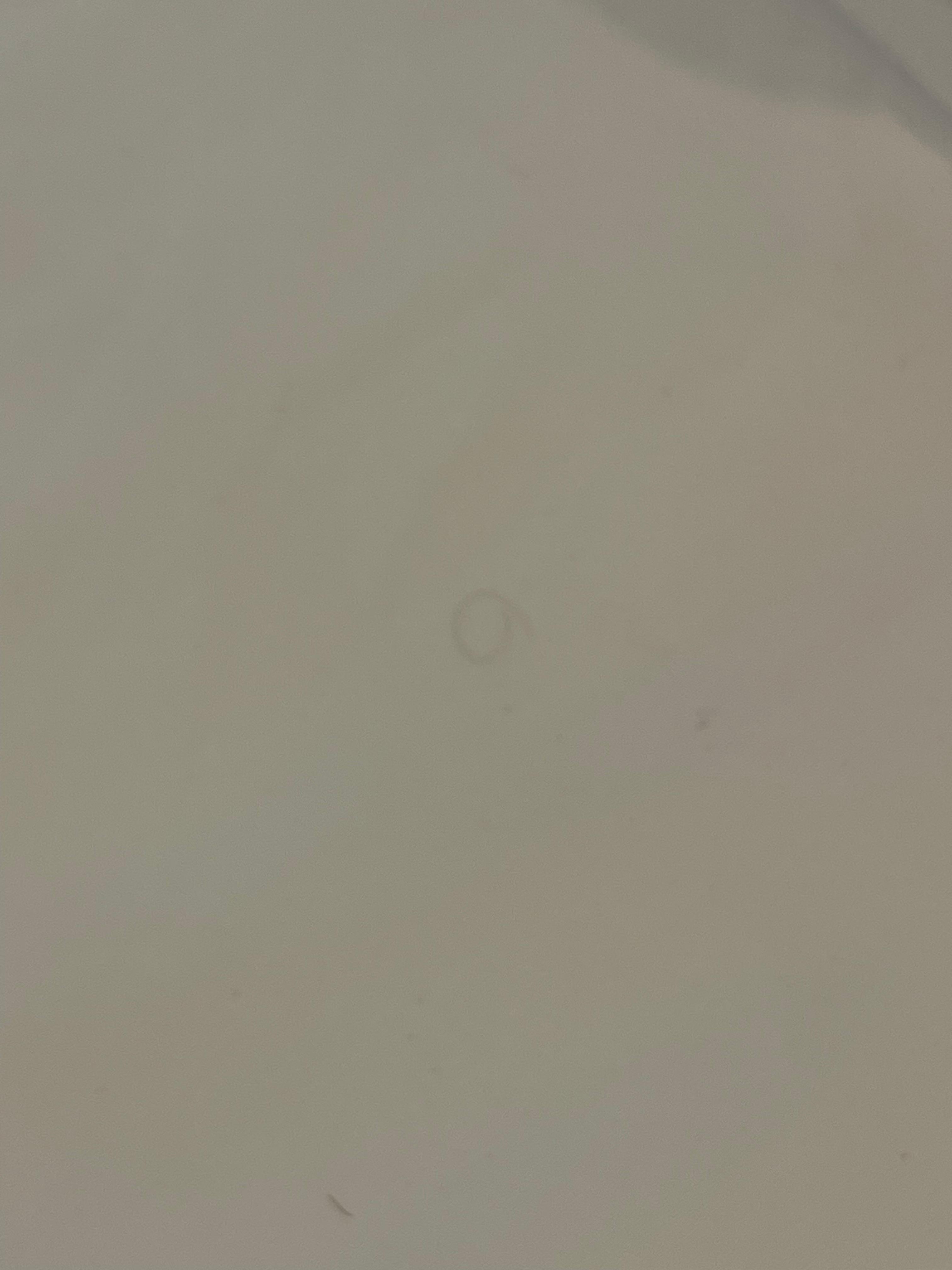 Bed sheets with hairs on them