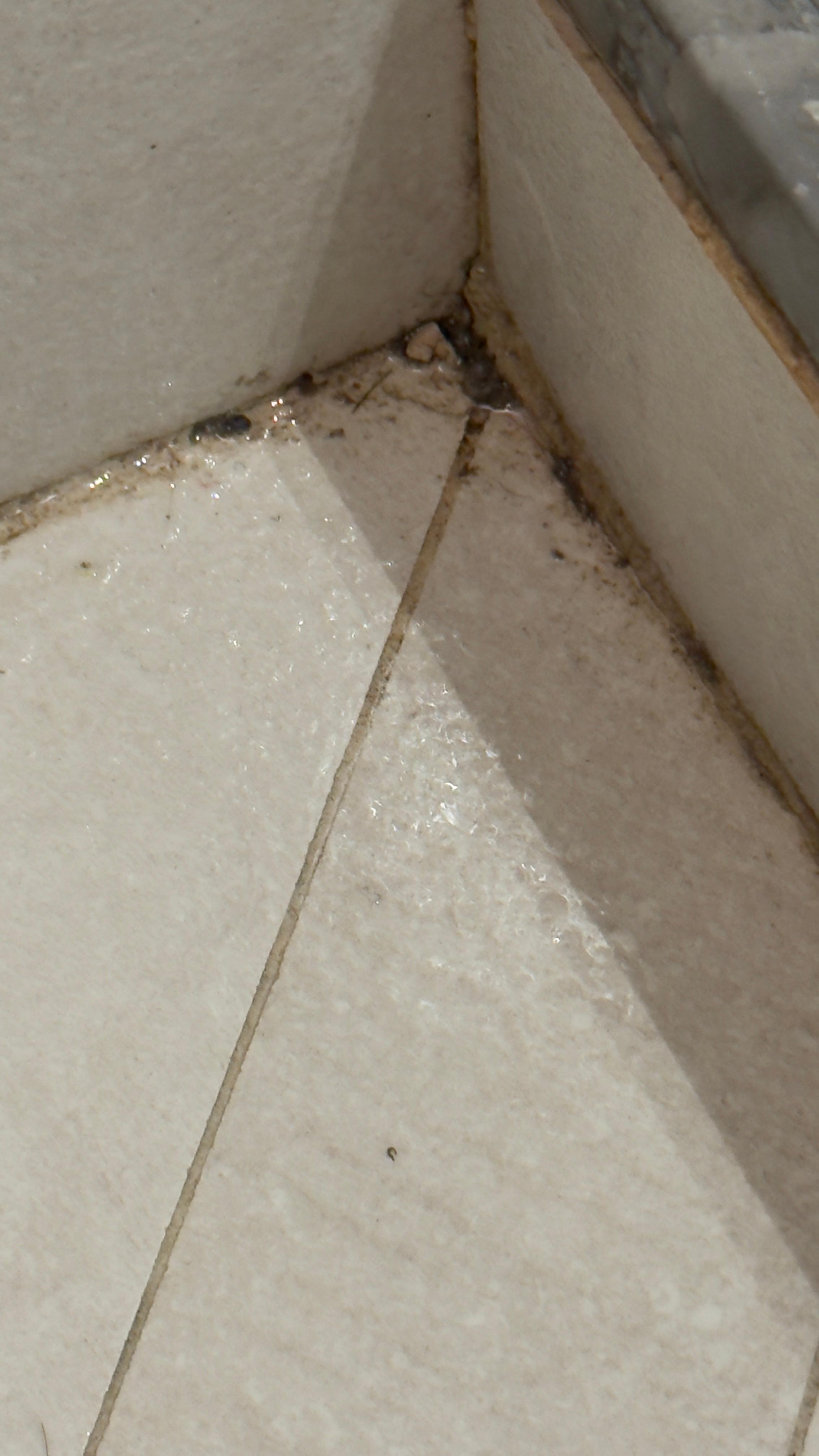 Filthy shower 2