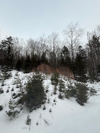 View from living room