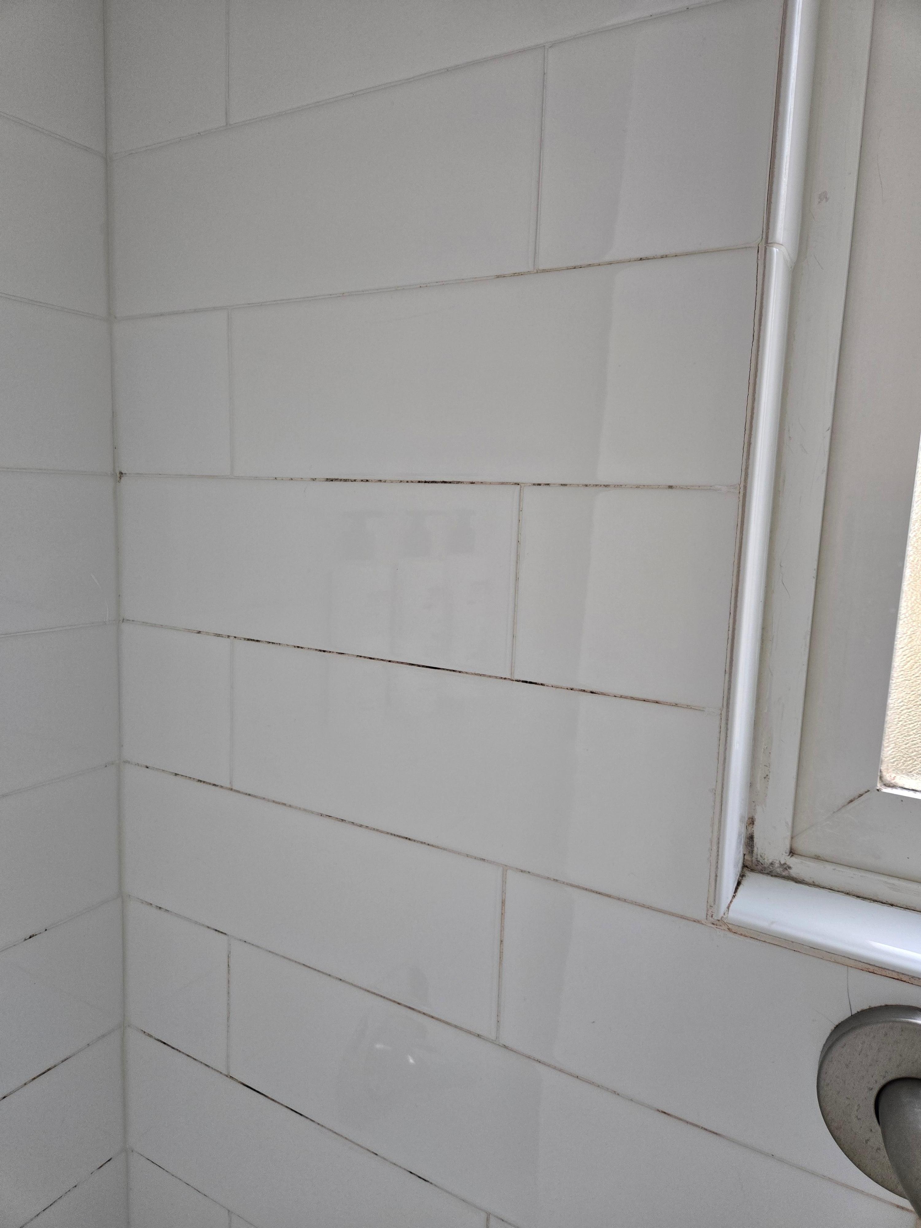 Mold in the shower