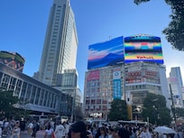Shibuya Excel Hotel ( Tal Rectangular Building)
