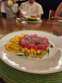 Tuna tartar appetizer-chef made dinner at the Villa
