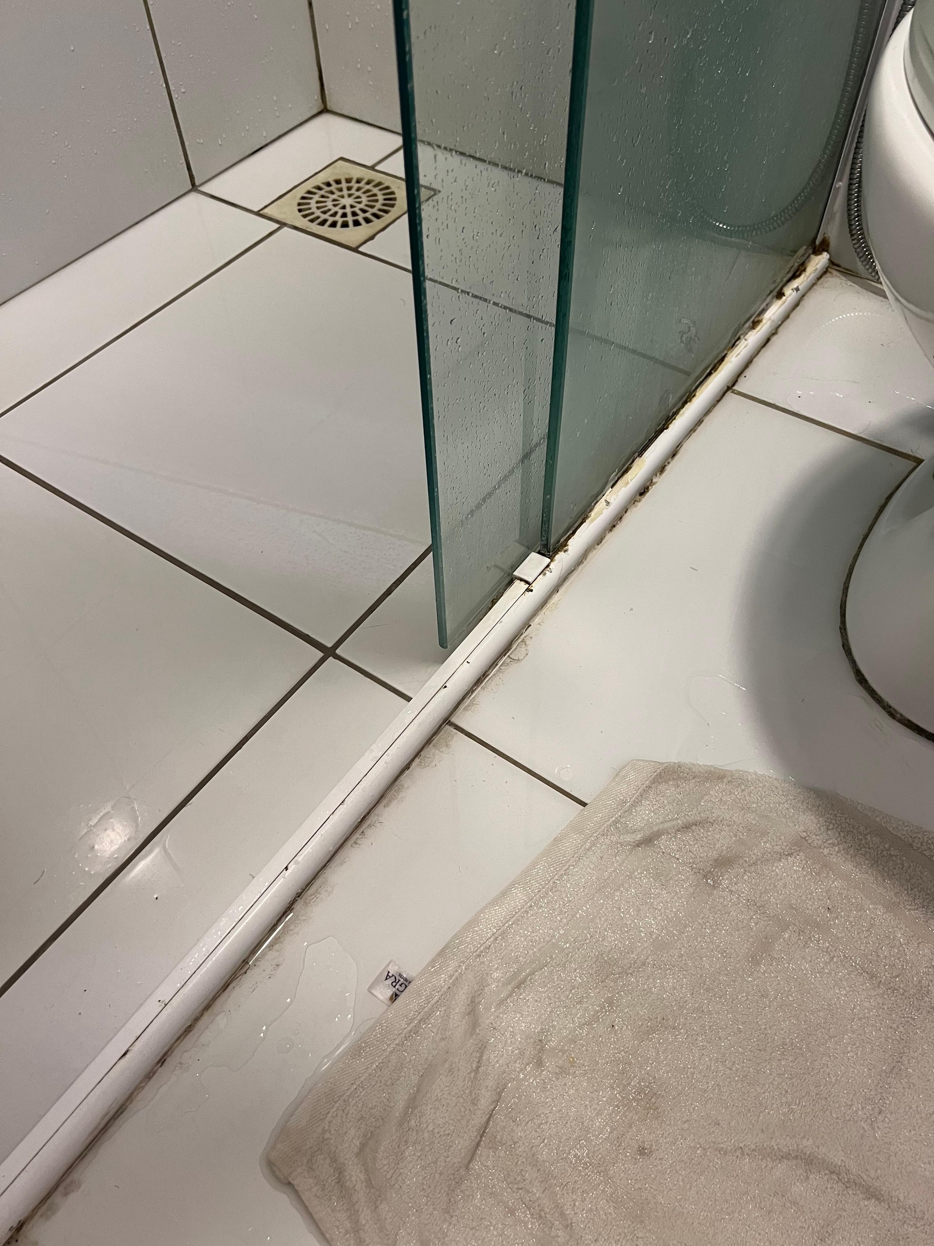 água do chuveiro escorrendo por baixo do box.