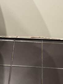 Bathroom door