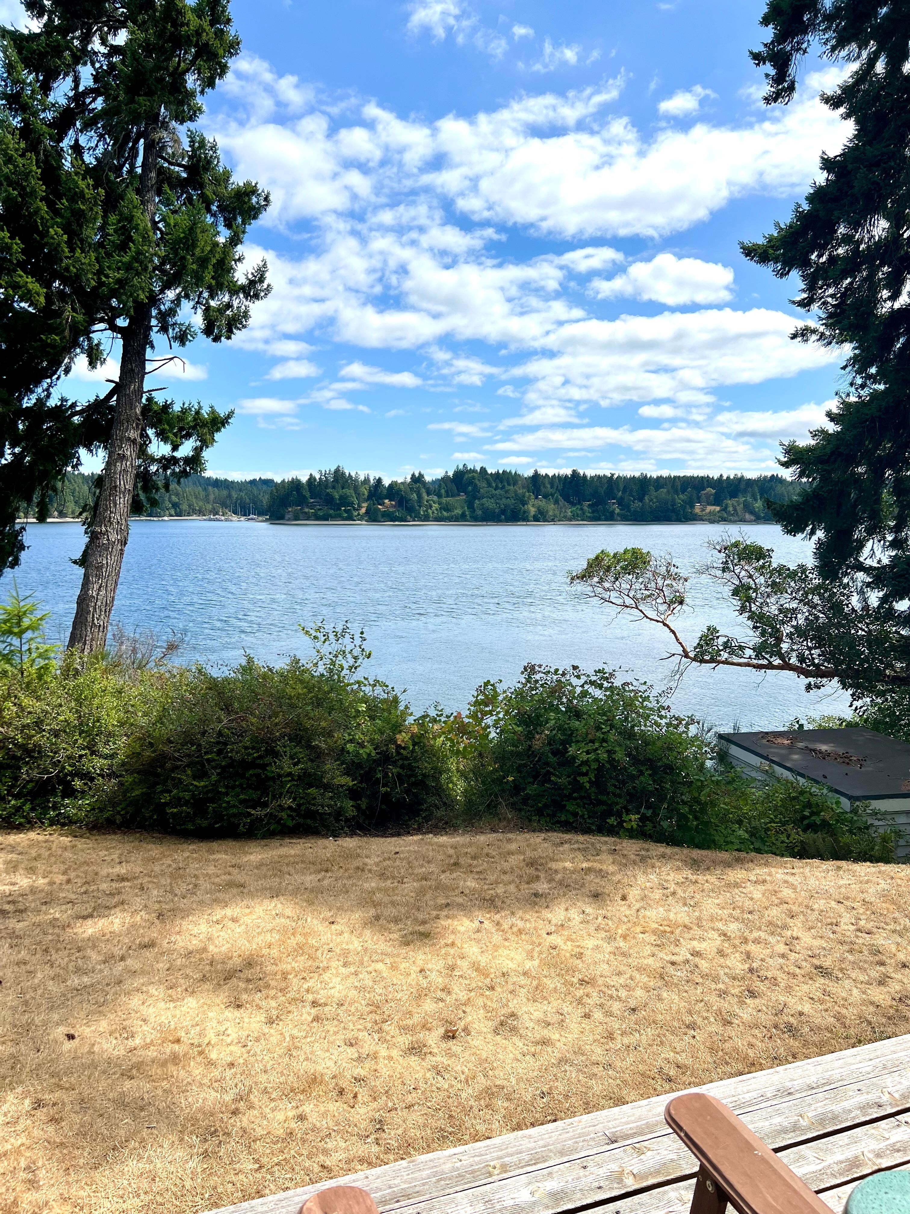 The morning view from porch