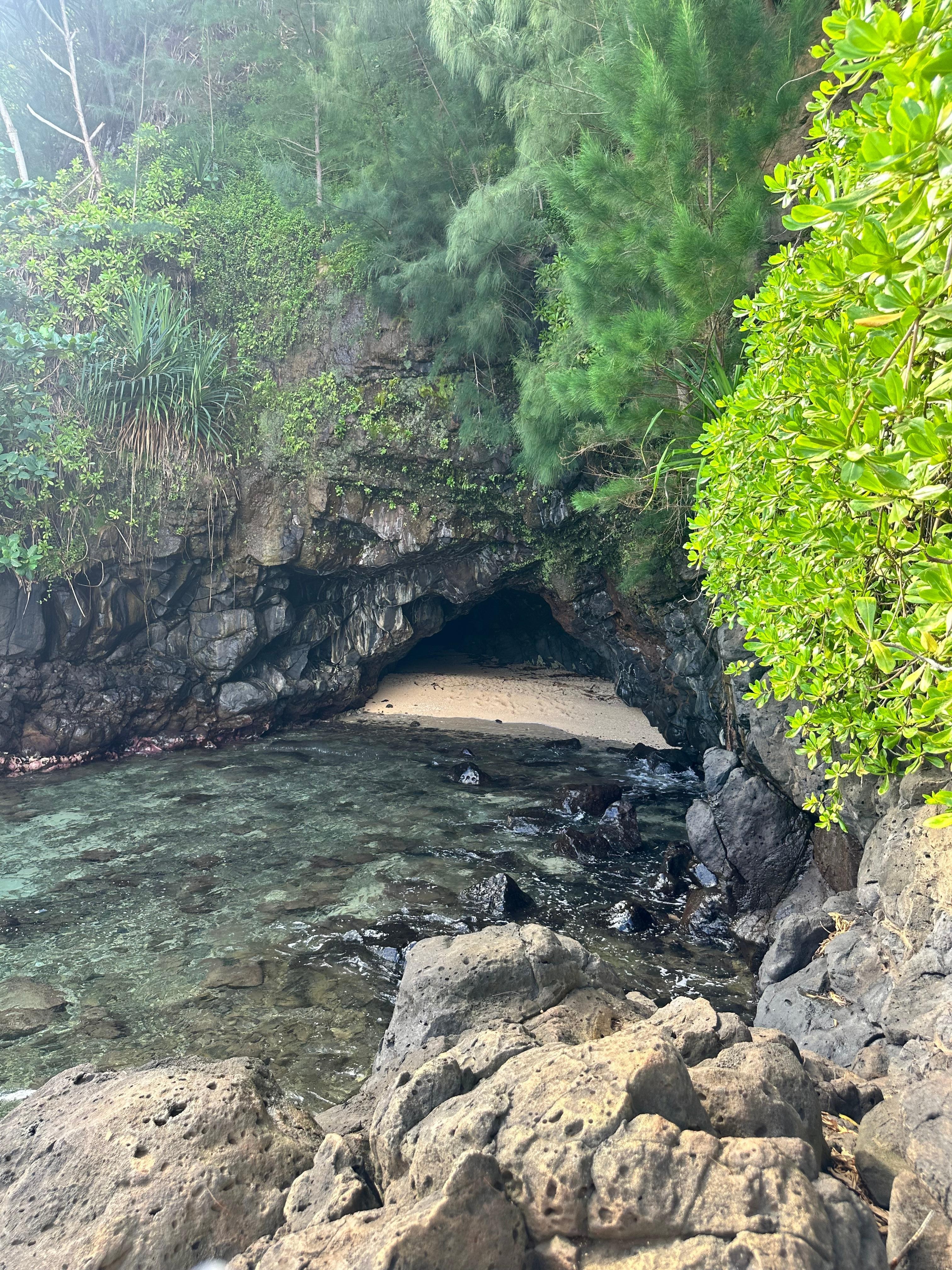 Turtle cove entrance 