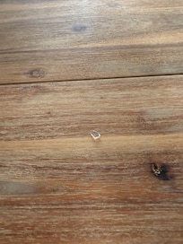 Glass in carpet