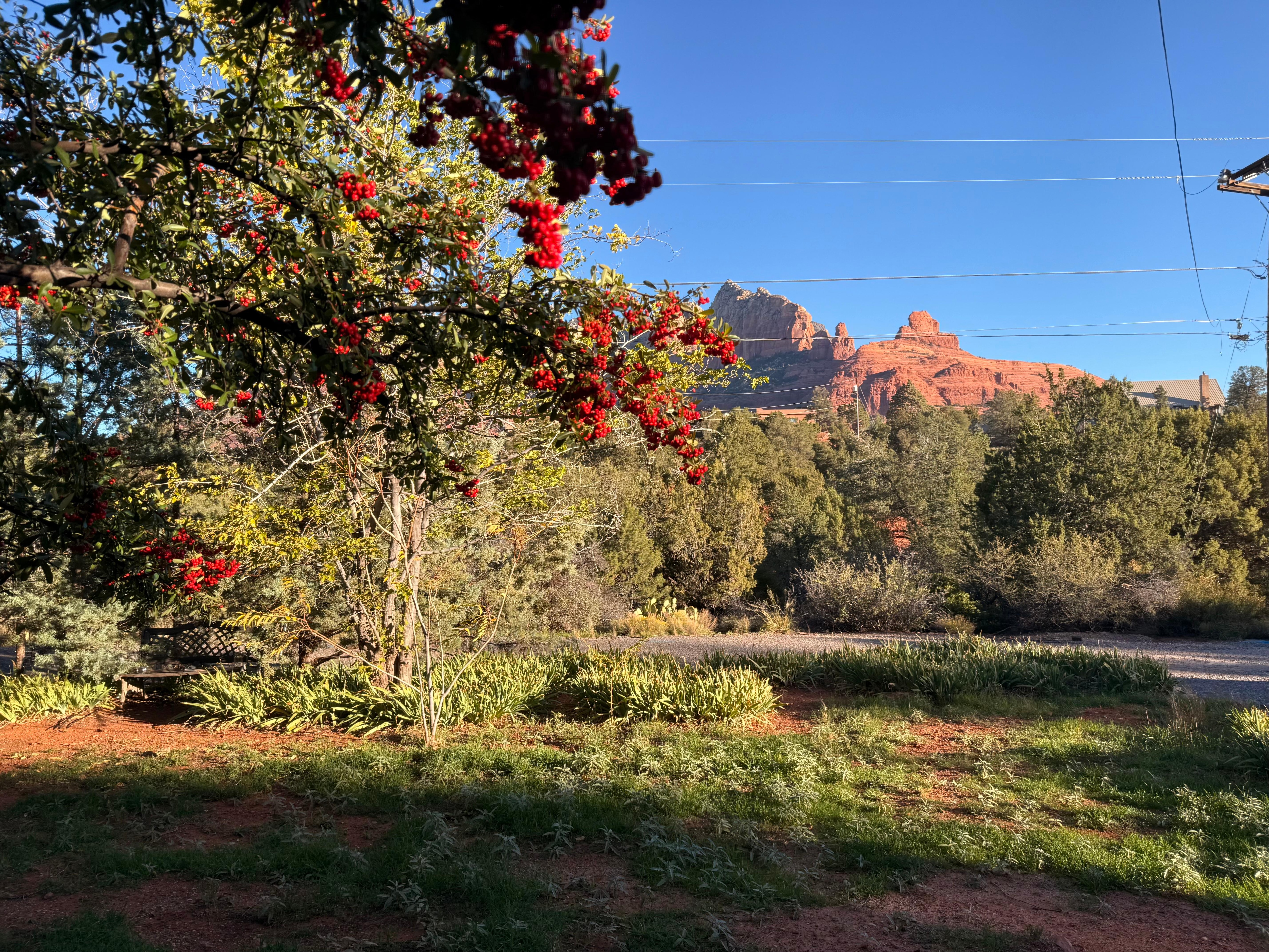 View from the bedroom!