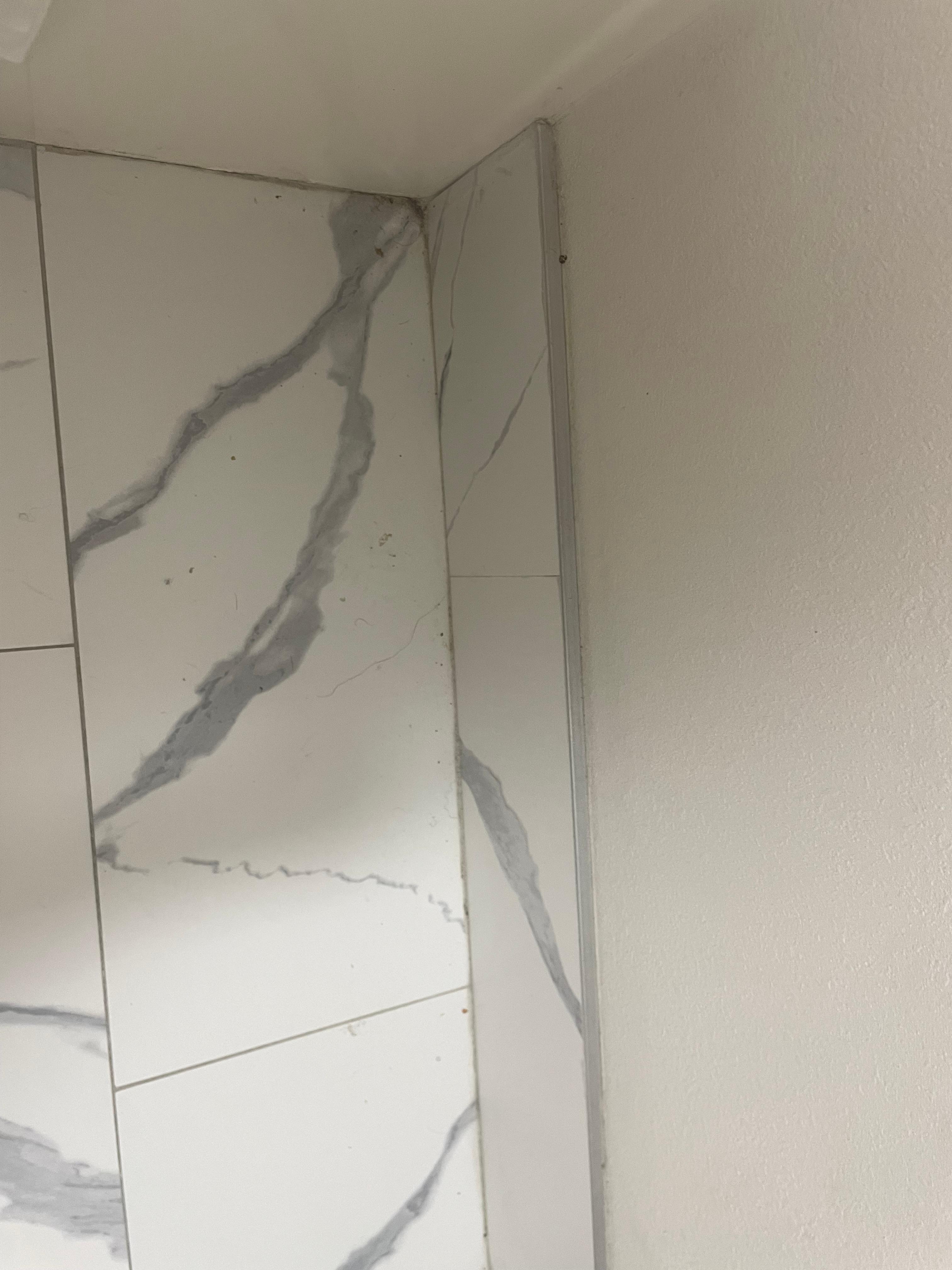 Dirty and shower did not work 