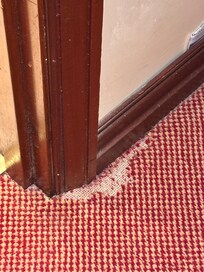Carpets need replacing