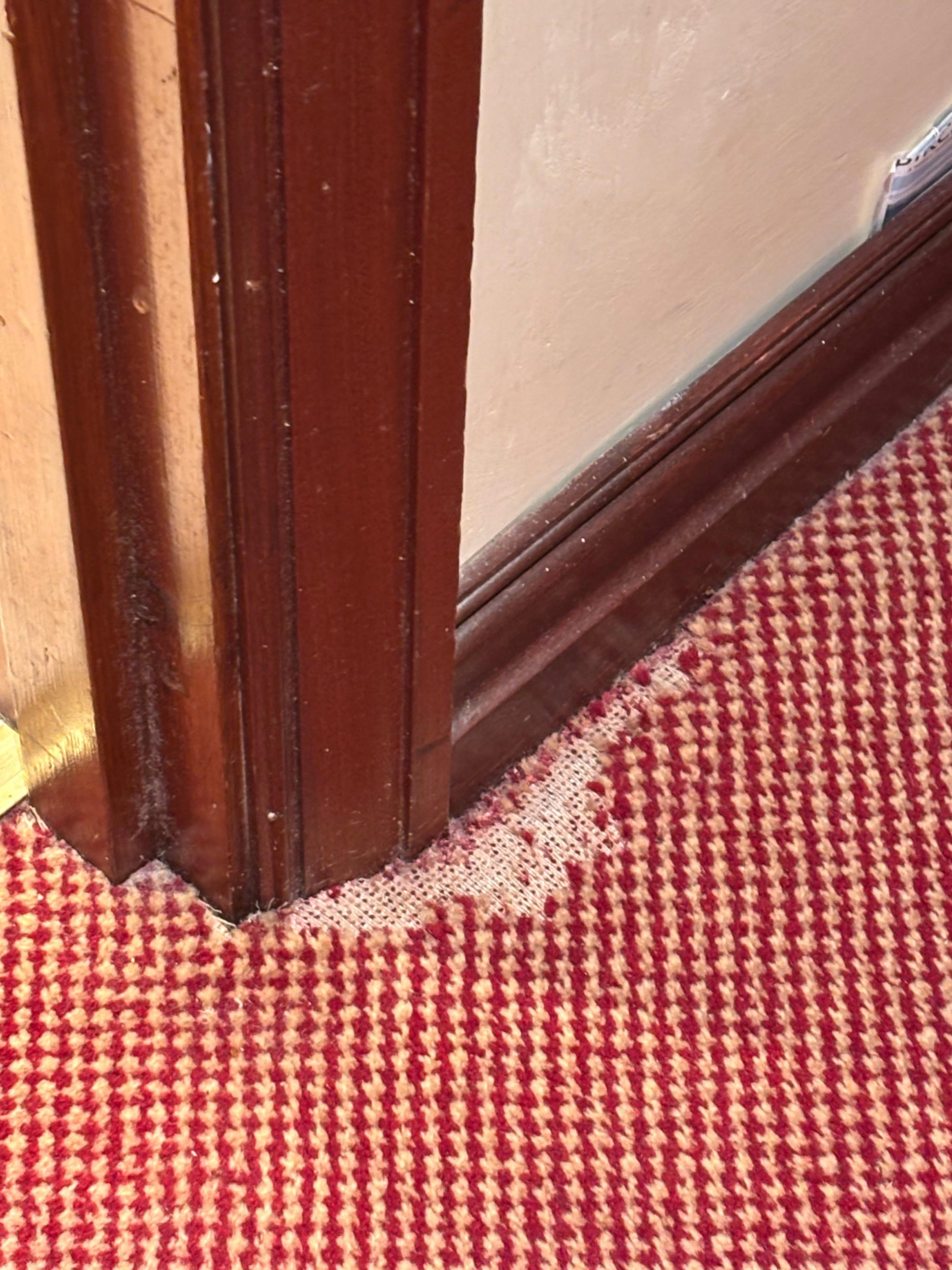 Carpets need replacing