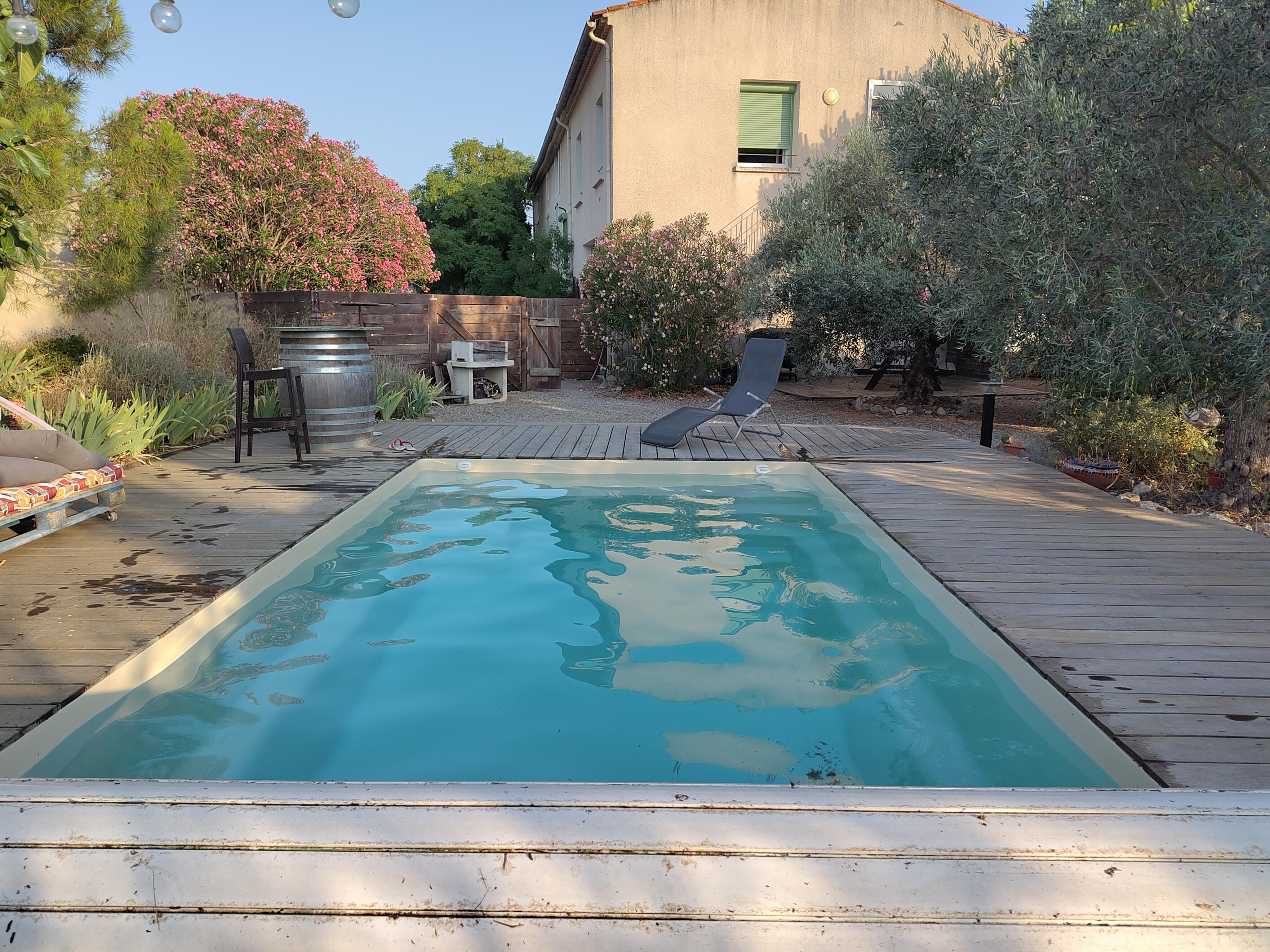 Pool im Garten