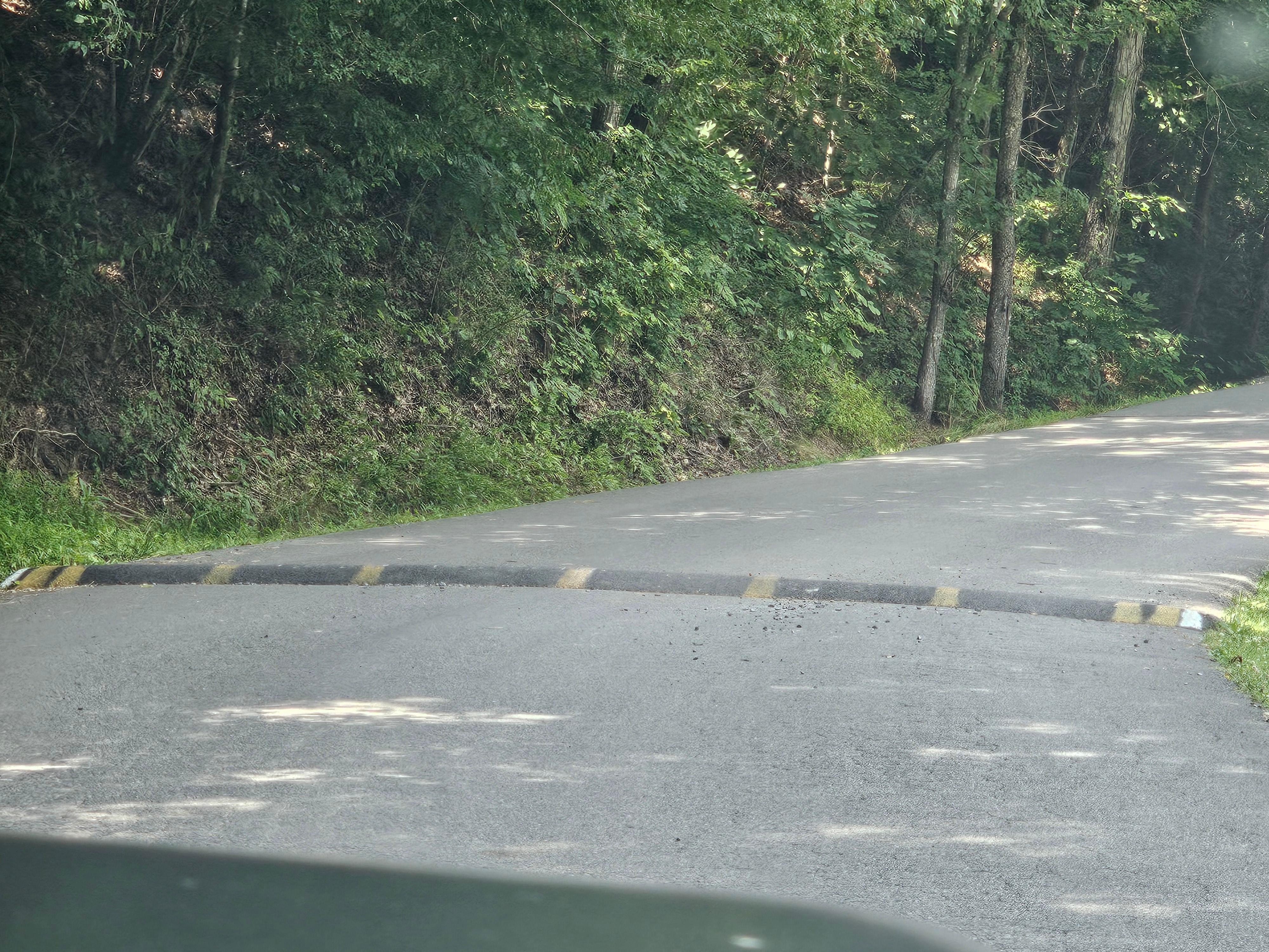 This is a picture of one of multiple large speed bumps in the development.