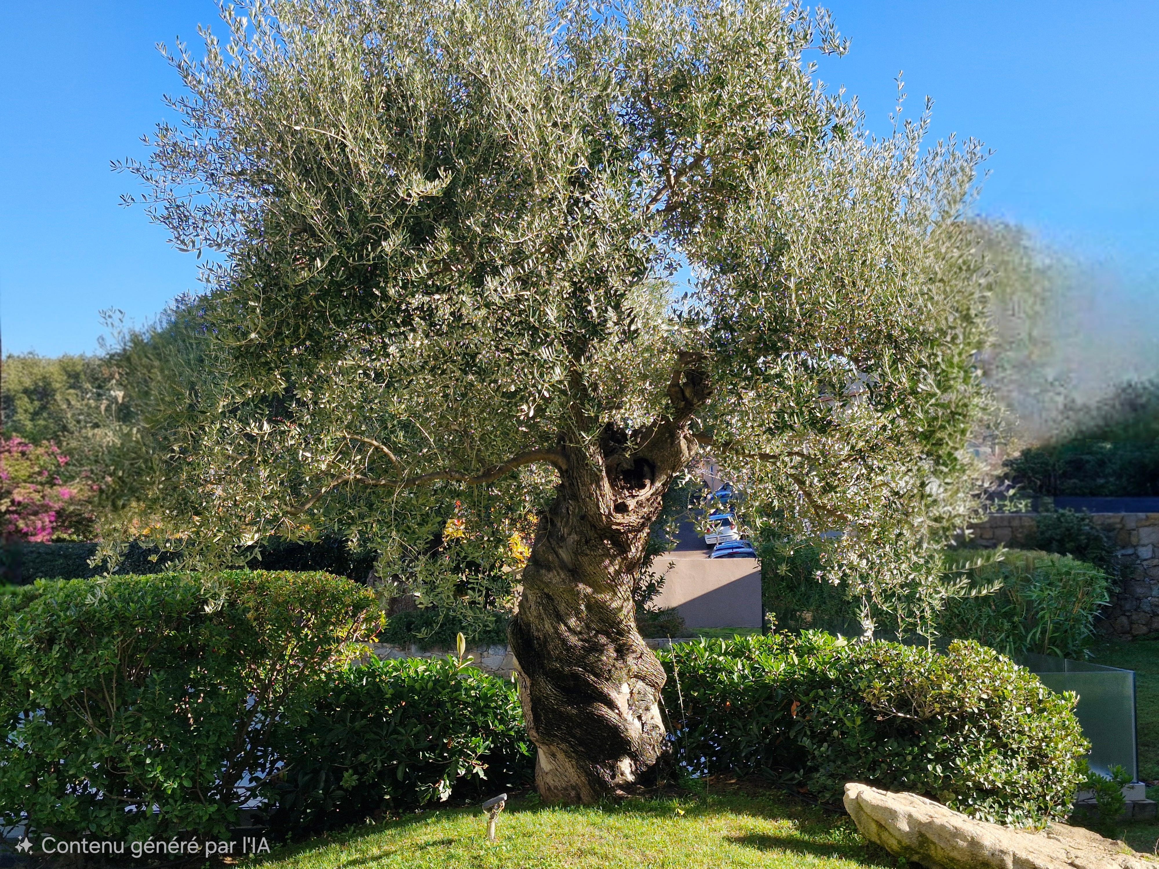 Vue depuis la cuisine 😊