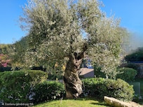 Vue depuis la cuisine 😊