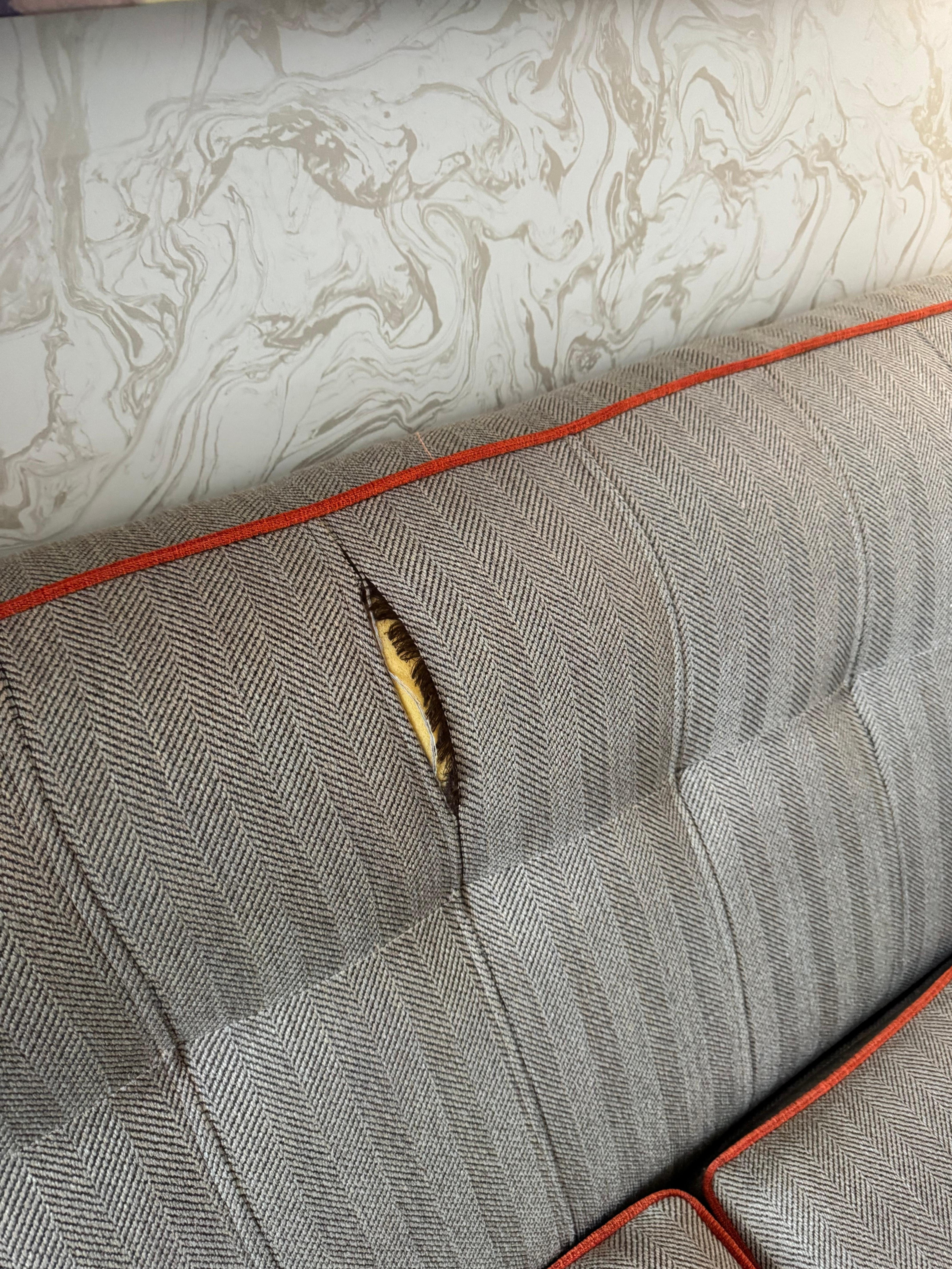 Torn sofa 