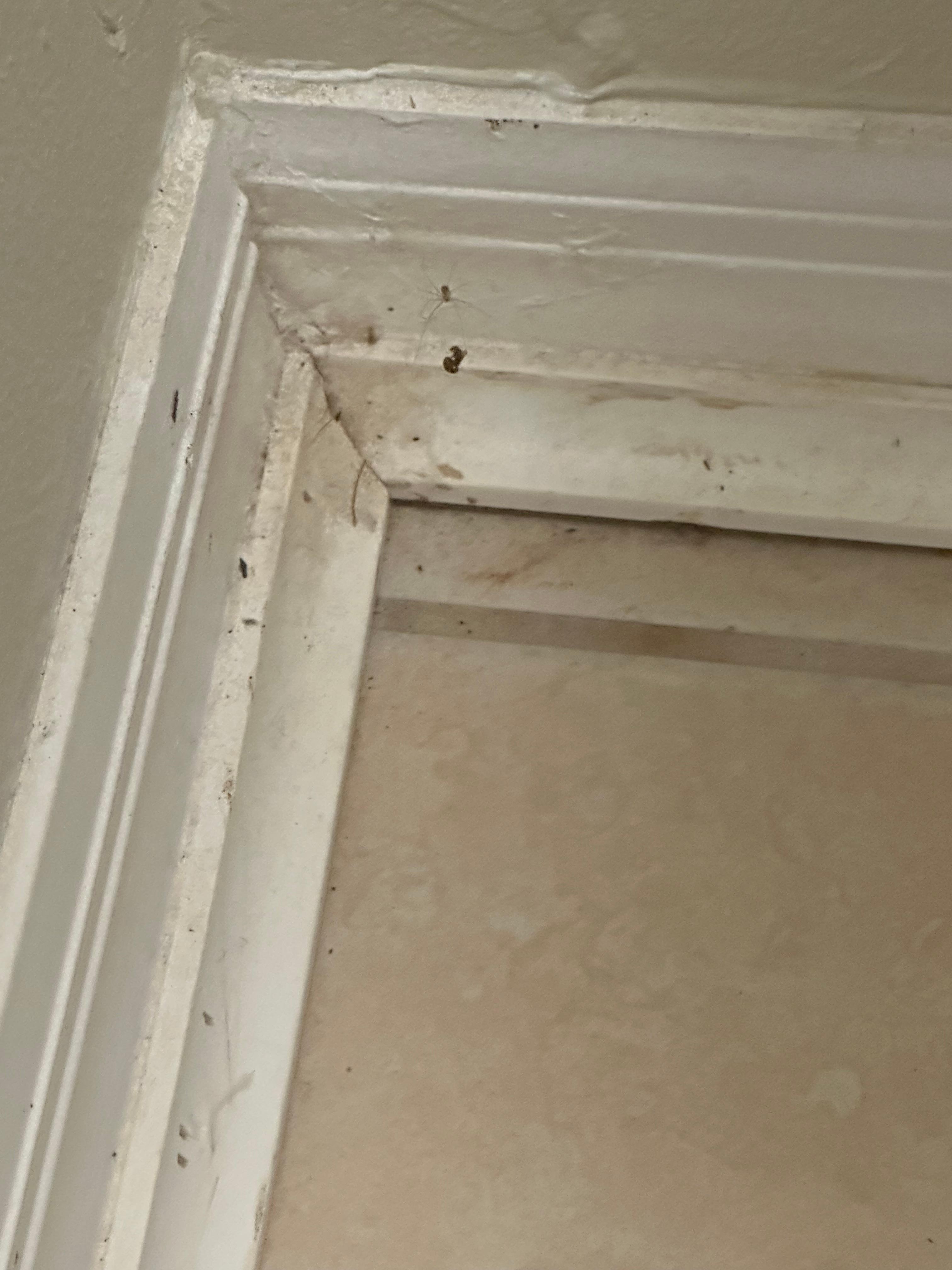 In the toilet area of bathroom 