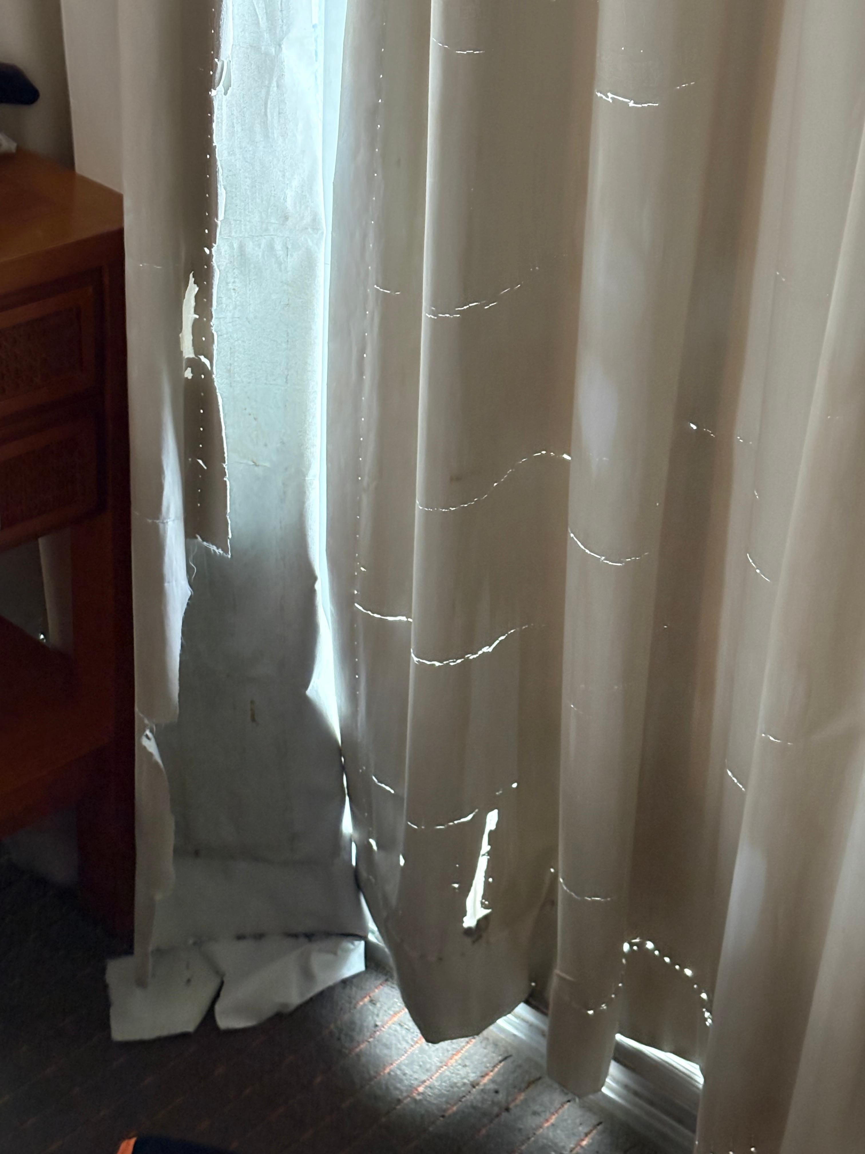 This was the last straw - shredded drapes!?! Seriously?!