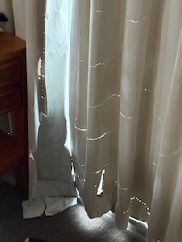 This was the last straw - shredded drapes!?! Seriously?!