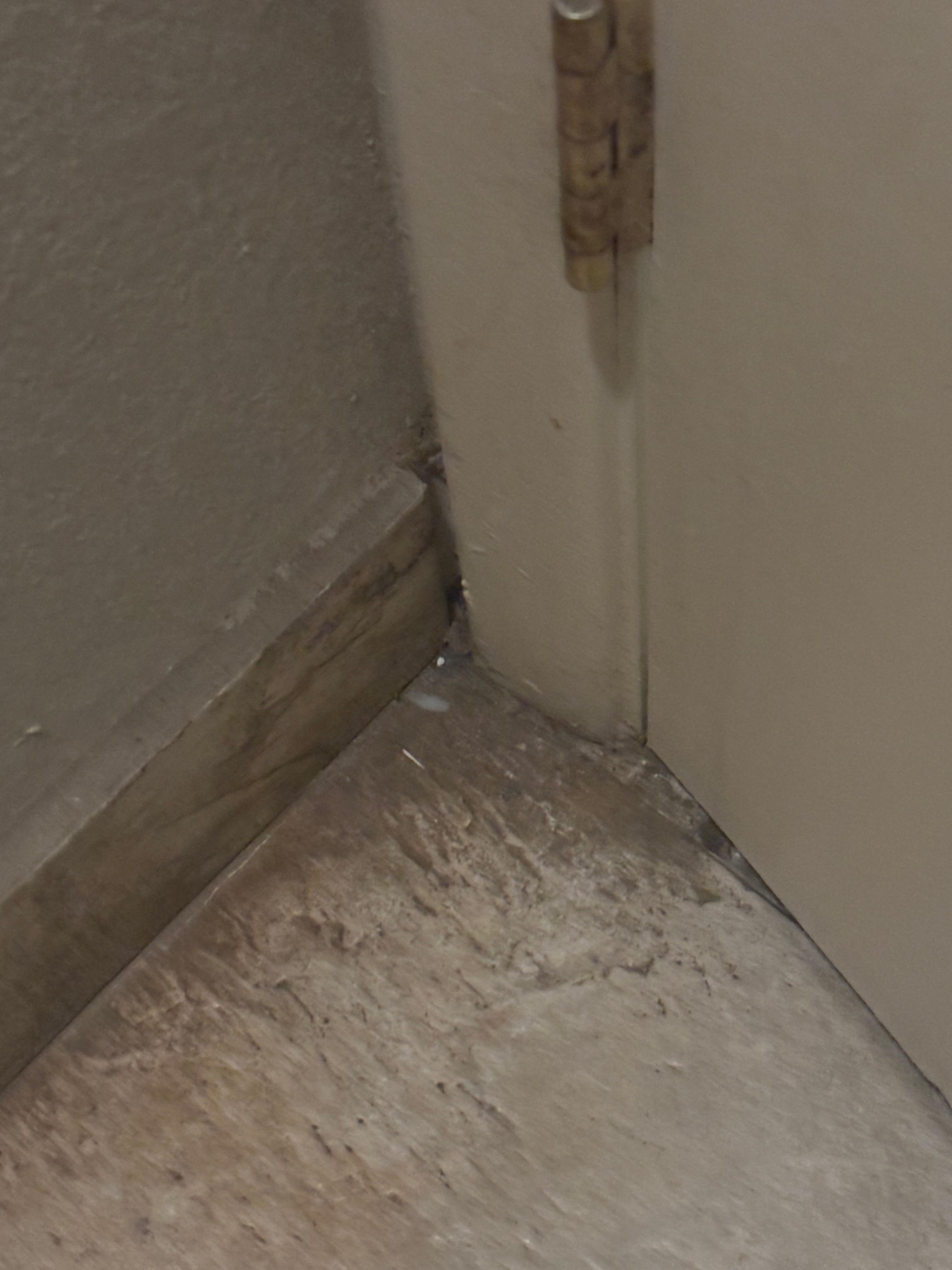Literal dirt on the floor of the bathroom. 