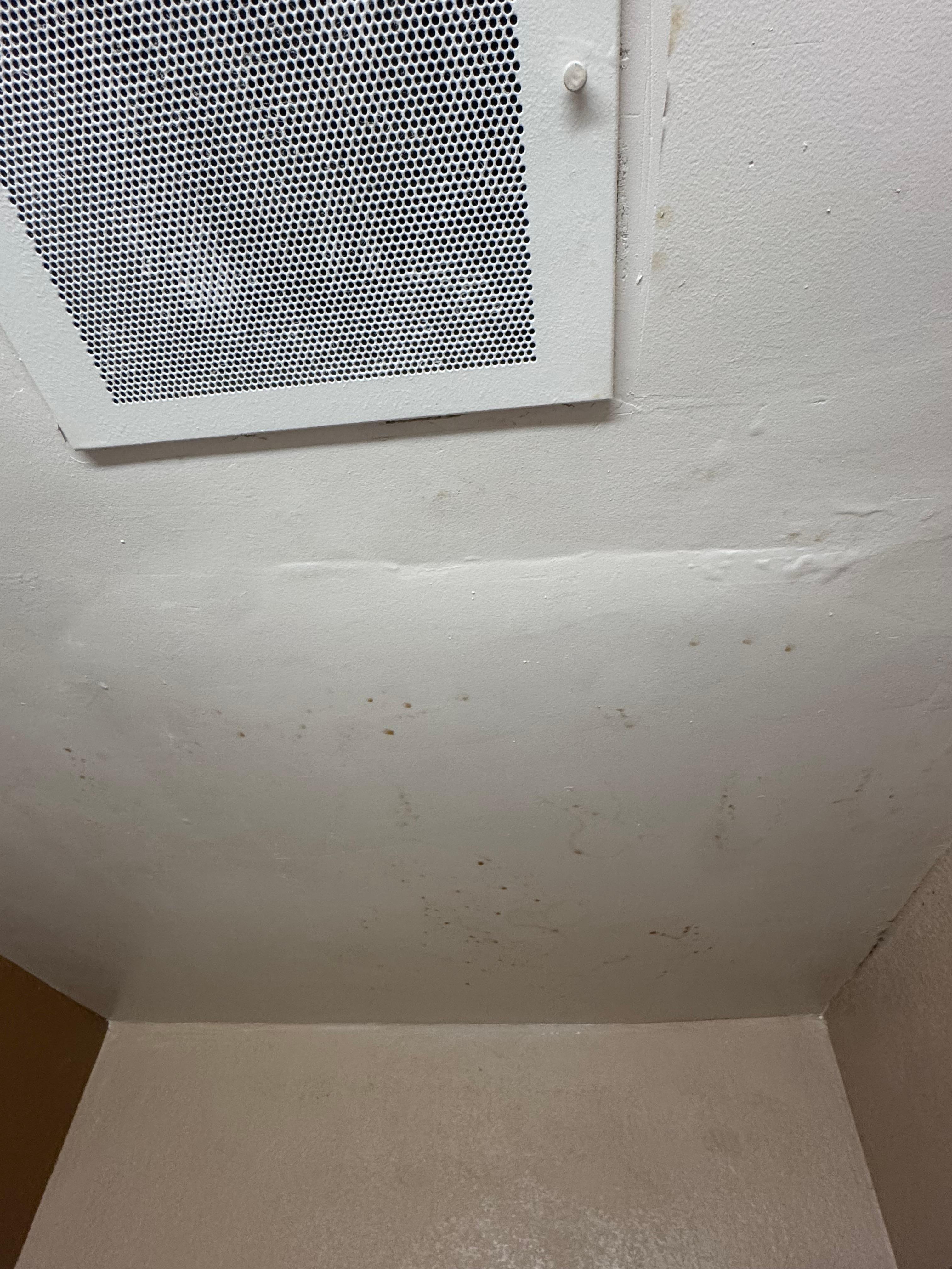 Unidentified stain on bathroom ceiling. And apparent mold in corner