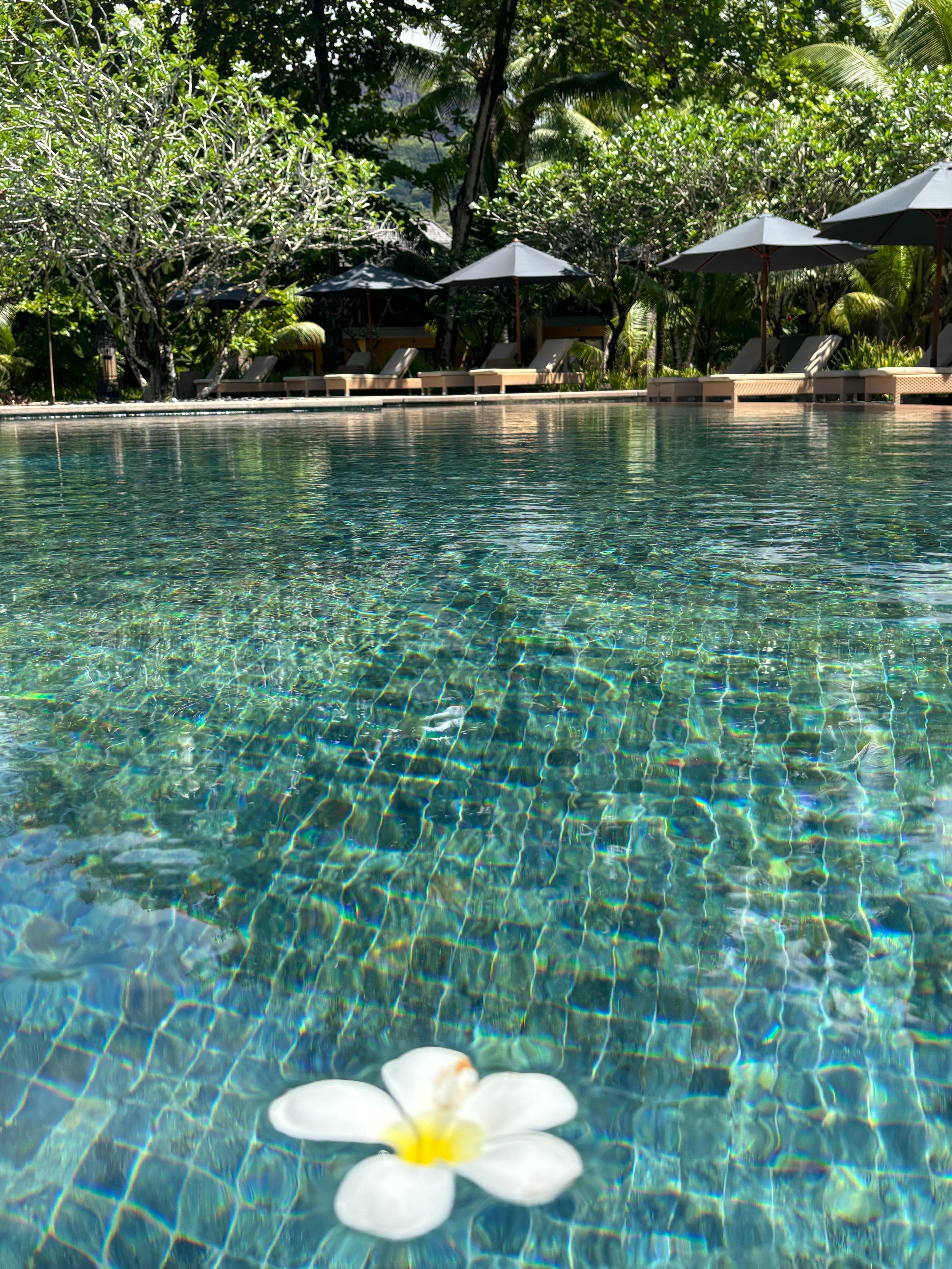 The pool on the south side