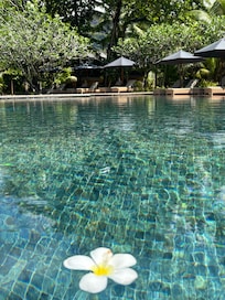 The pool on the south side