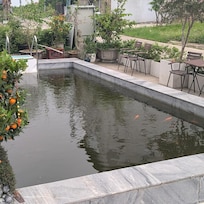 The "pool" that now hosts fish swimming in green water