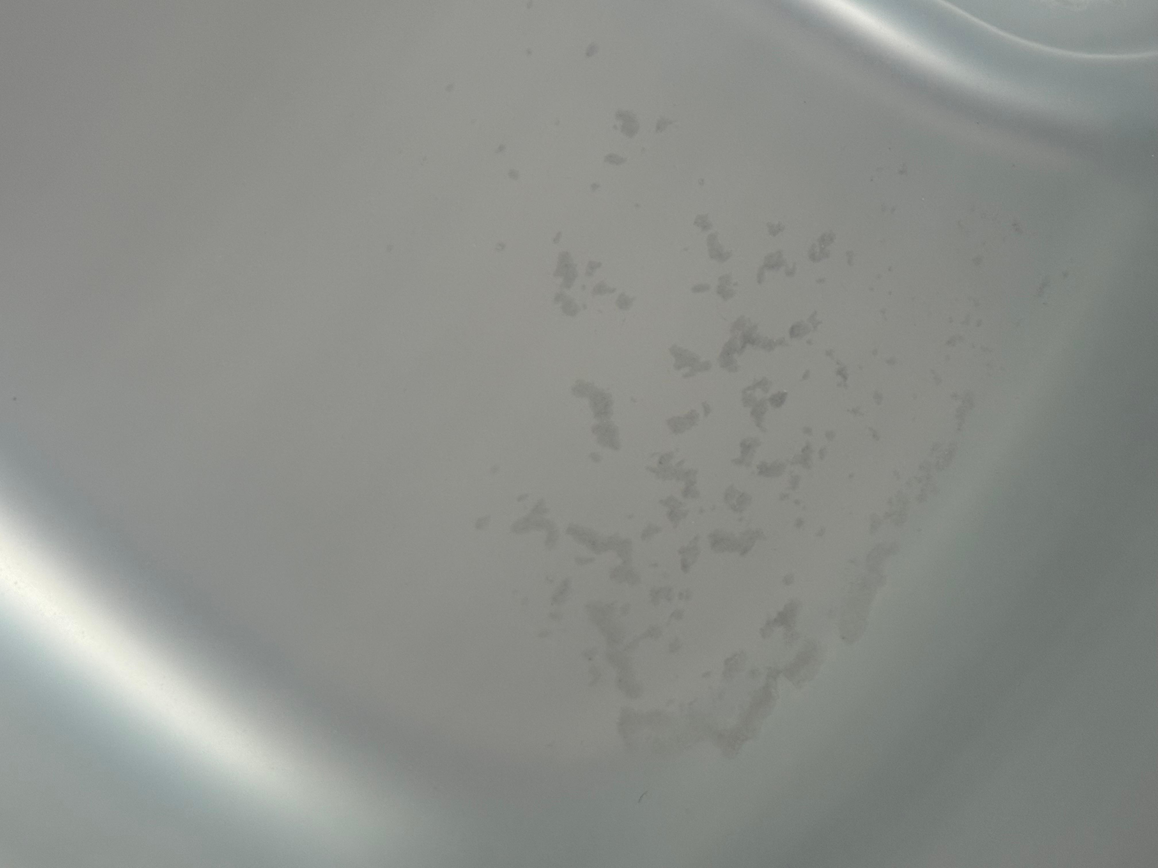 Sediment at the bottom of the hot tub and hazy dirty water. 