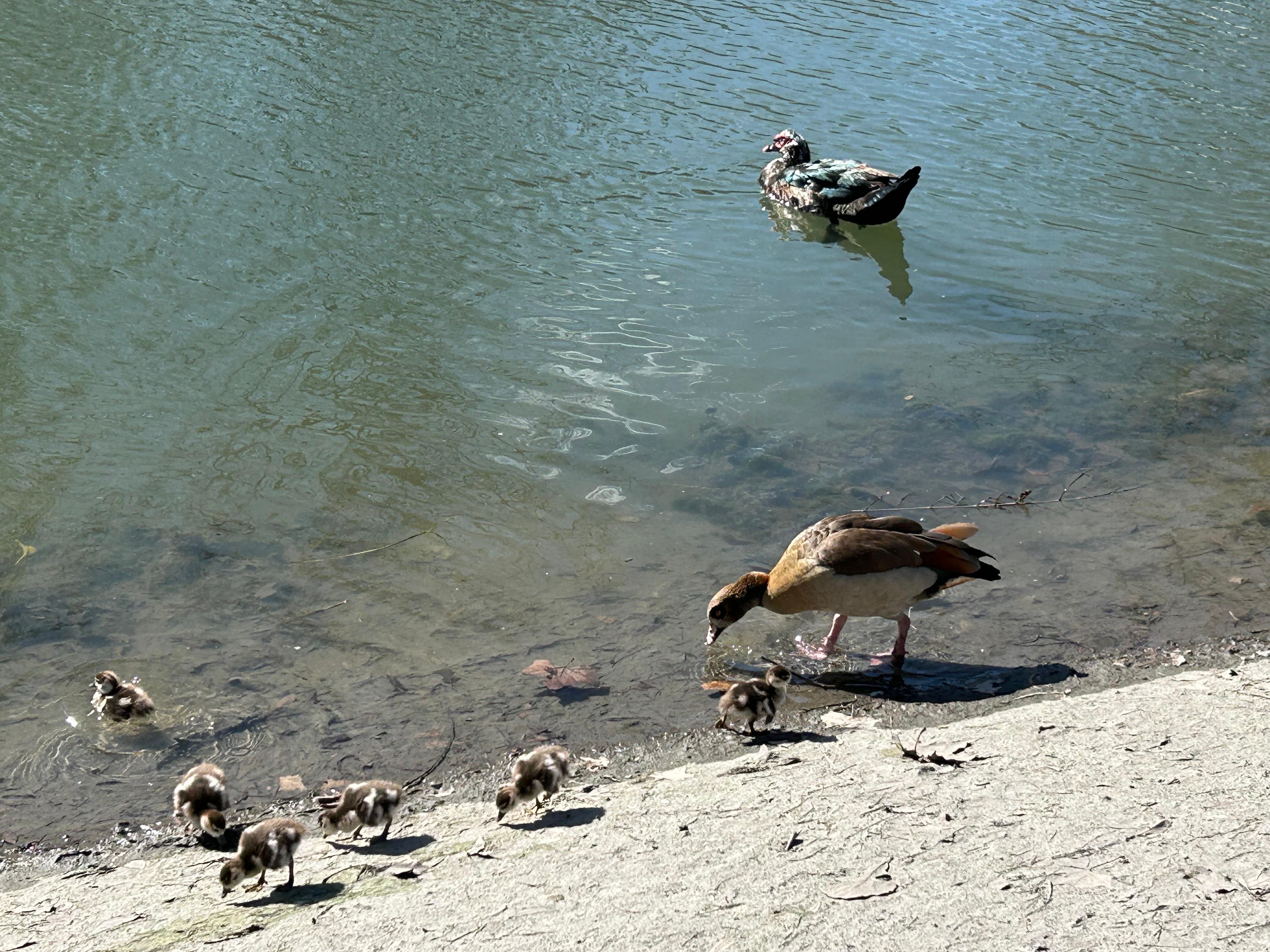 Trails down toward the Riverwalk