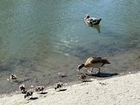 Trails down toward the Riverwalk