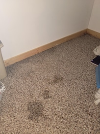 Water along wall and spots in front of pantry door